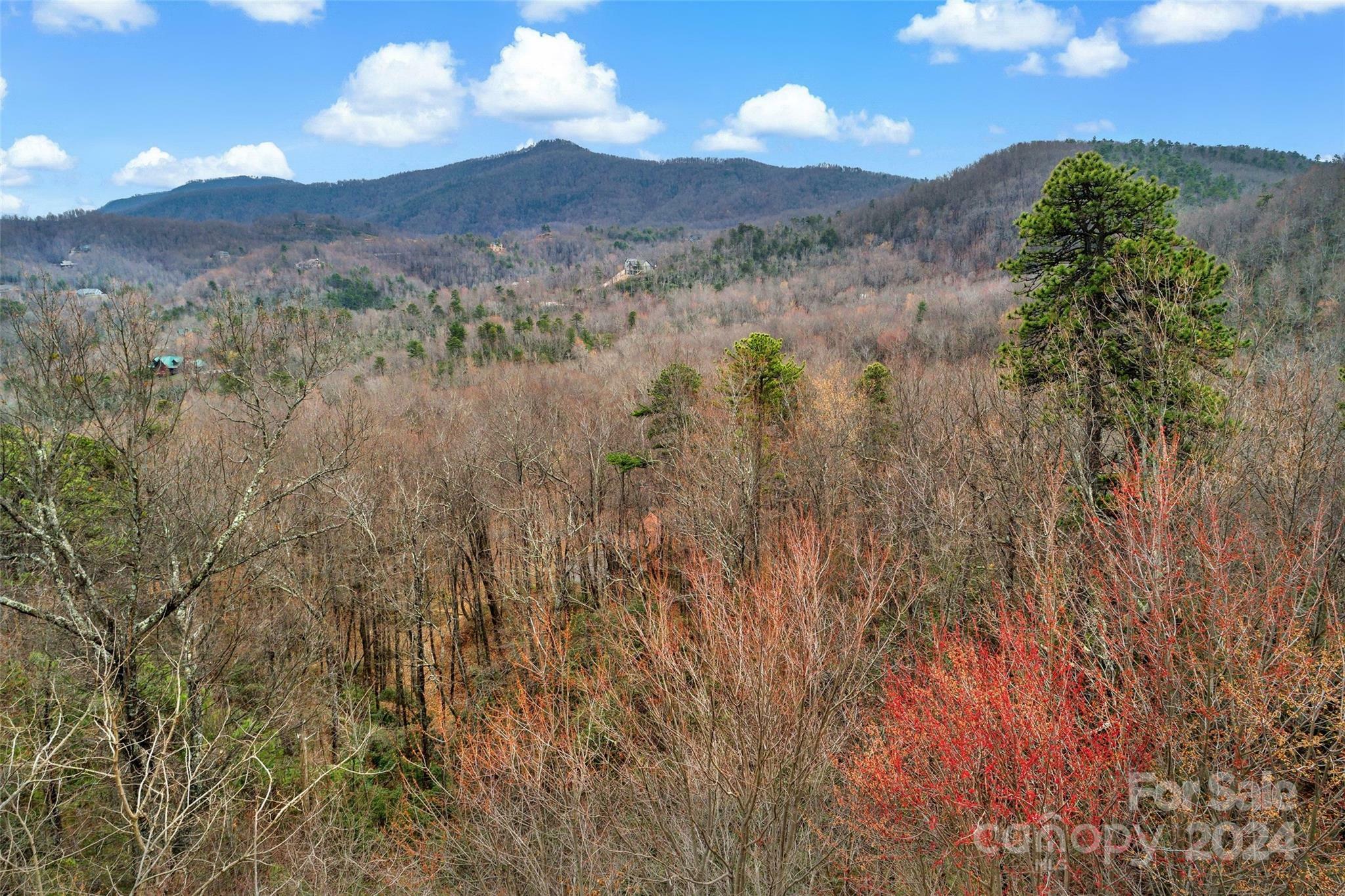 Lot 230 Catawba Falls Parkway 230  Black Mountain NC 28711 photo