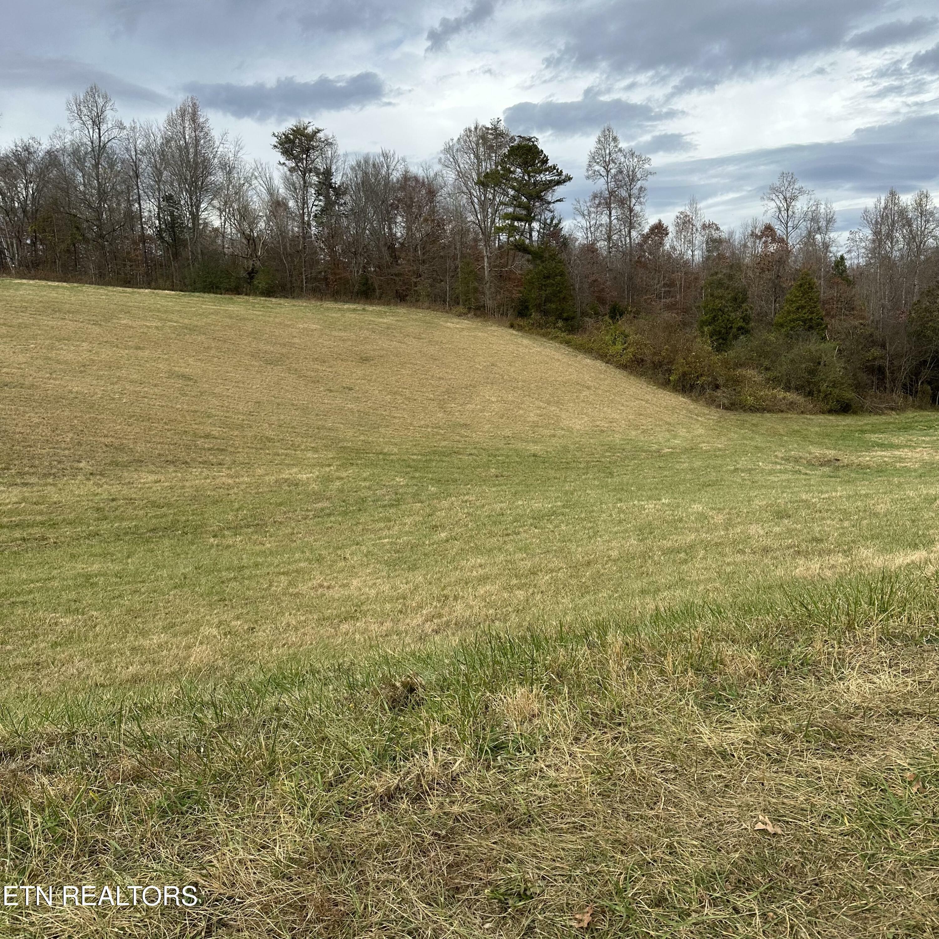 Property Photo:  Bob Wright Rd Lot 41 Rd  TN 37807 