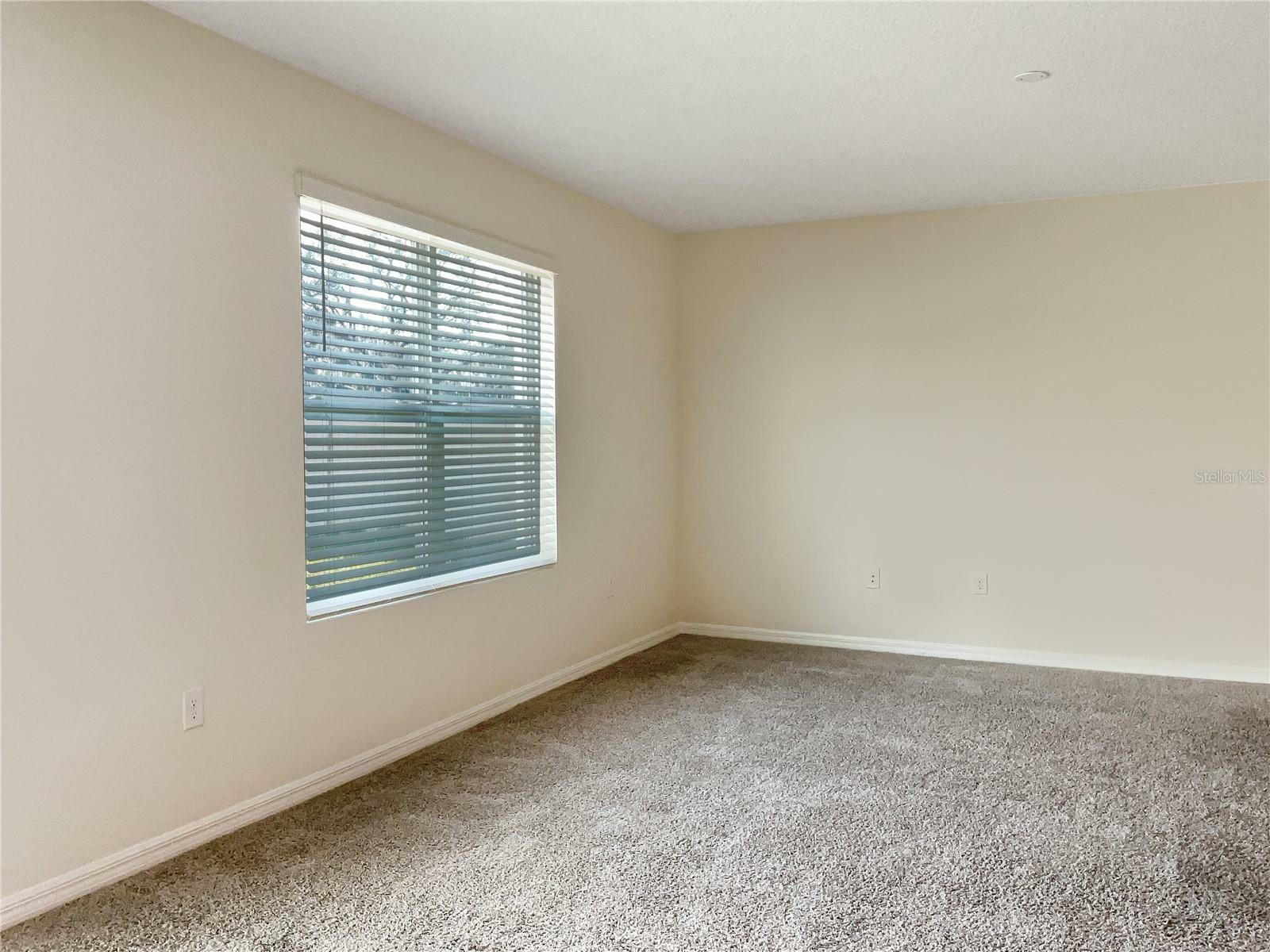 Property Photo:  16441 Little Garden Drive  FL 33598 