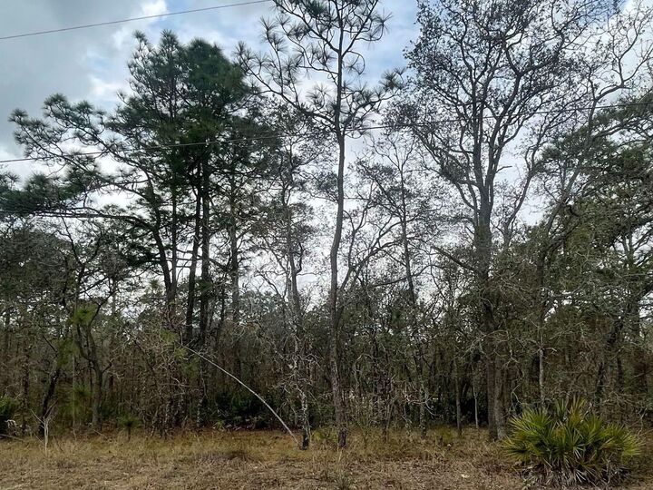 Property Photo: 0 Myland Road FL 34614