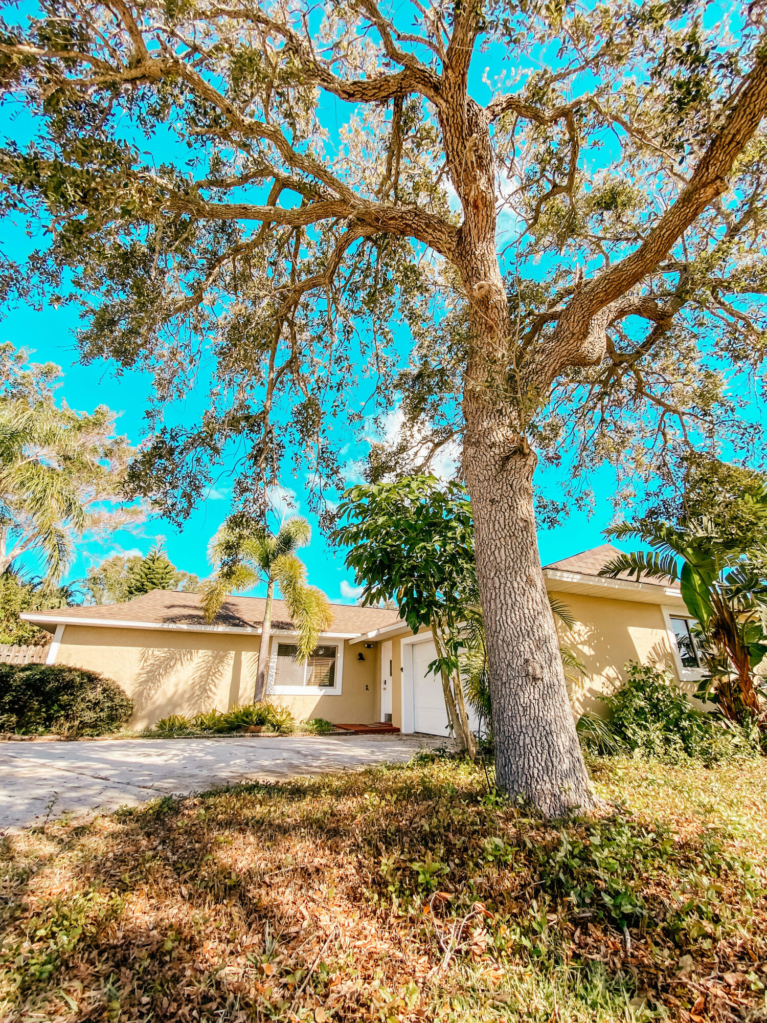 Property Photo:  1290 Johns Circle  FL 32952 