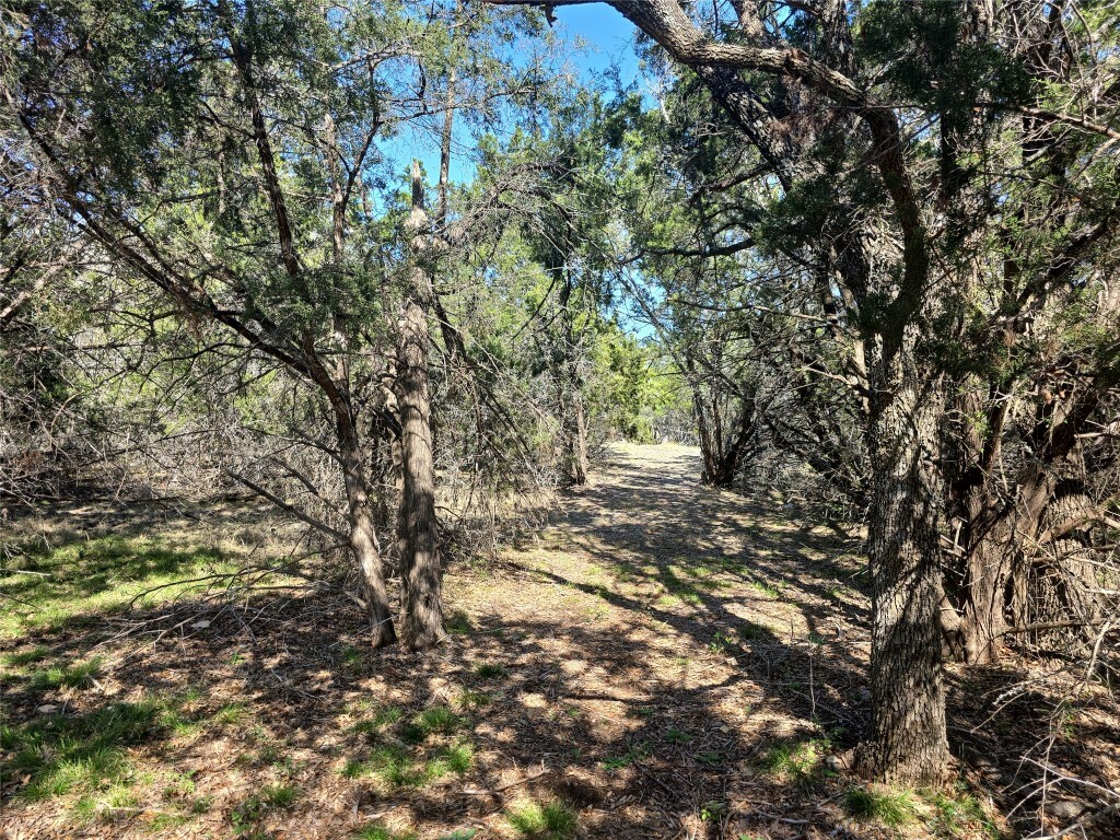 Property Photo:  3510 County Road 200  TX 78642 