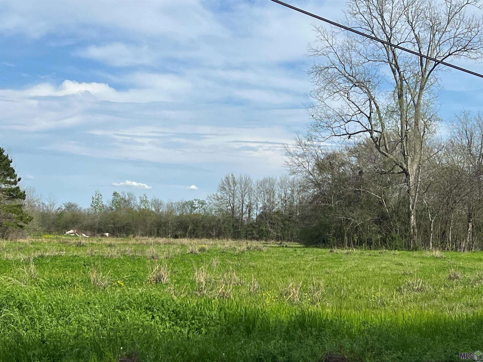 Property Photo:  5232, 5252 Elm Grove Rd  LA 70767 