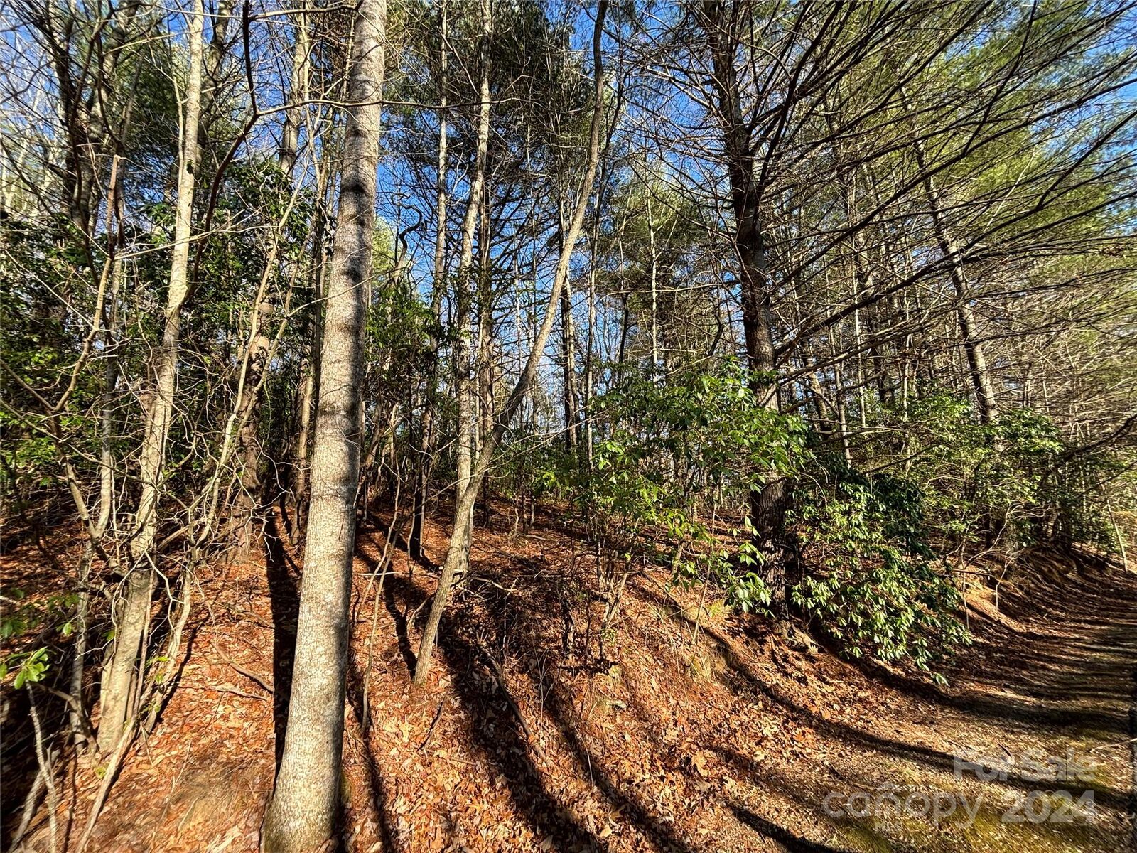 Property Photo:  0 Knob Road  NC 28768 