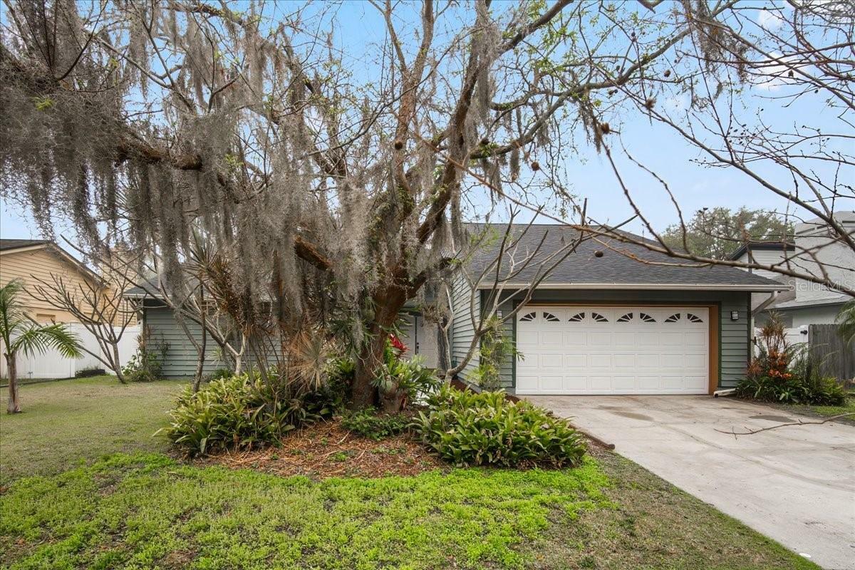 Property Photo:  10906 Autumn Oak Place  FL 33618 