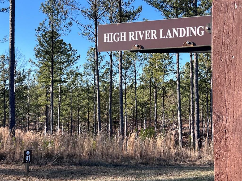 Property Photo:  Lot 91 High River Landing  GA 30540 