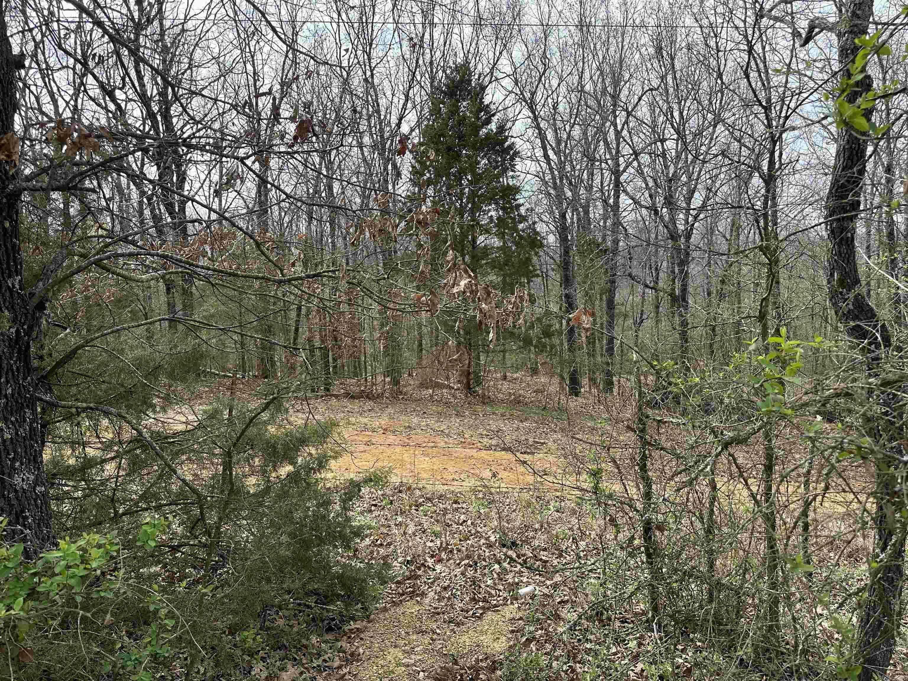 Property Photo:  Lot 2 Raby Road  AR 72432 