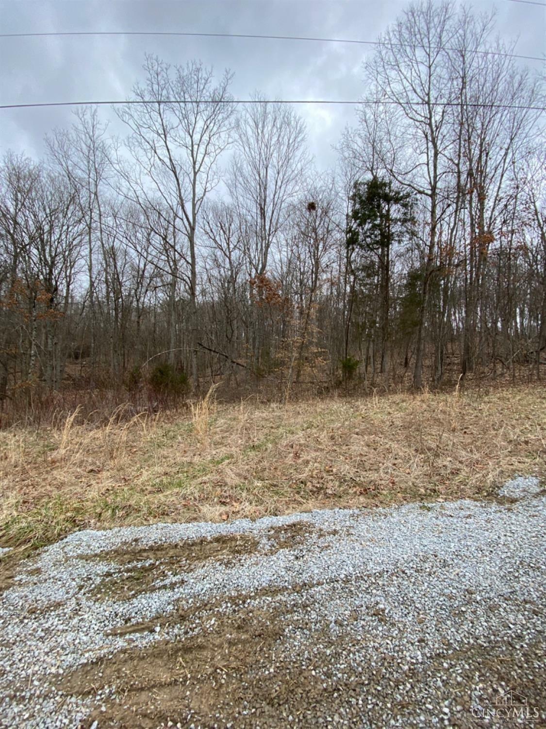 Property Photo:  80 Charity Lot #16 And #18 Lane  OH 45693 