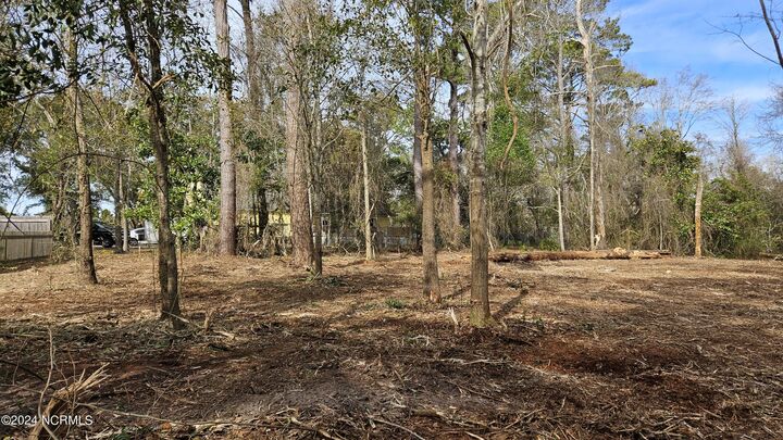 161 Holly Lane  Newport NC 28570 photo