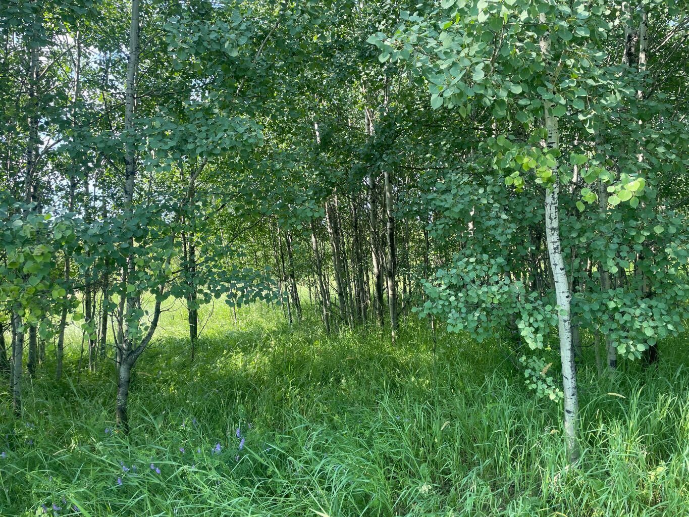 Property Photo:  1003 20 Avenue  AB T7E 3A1