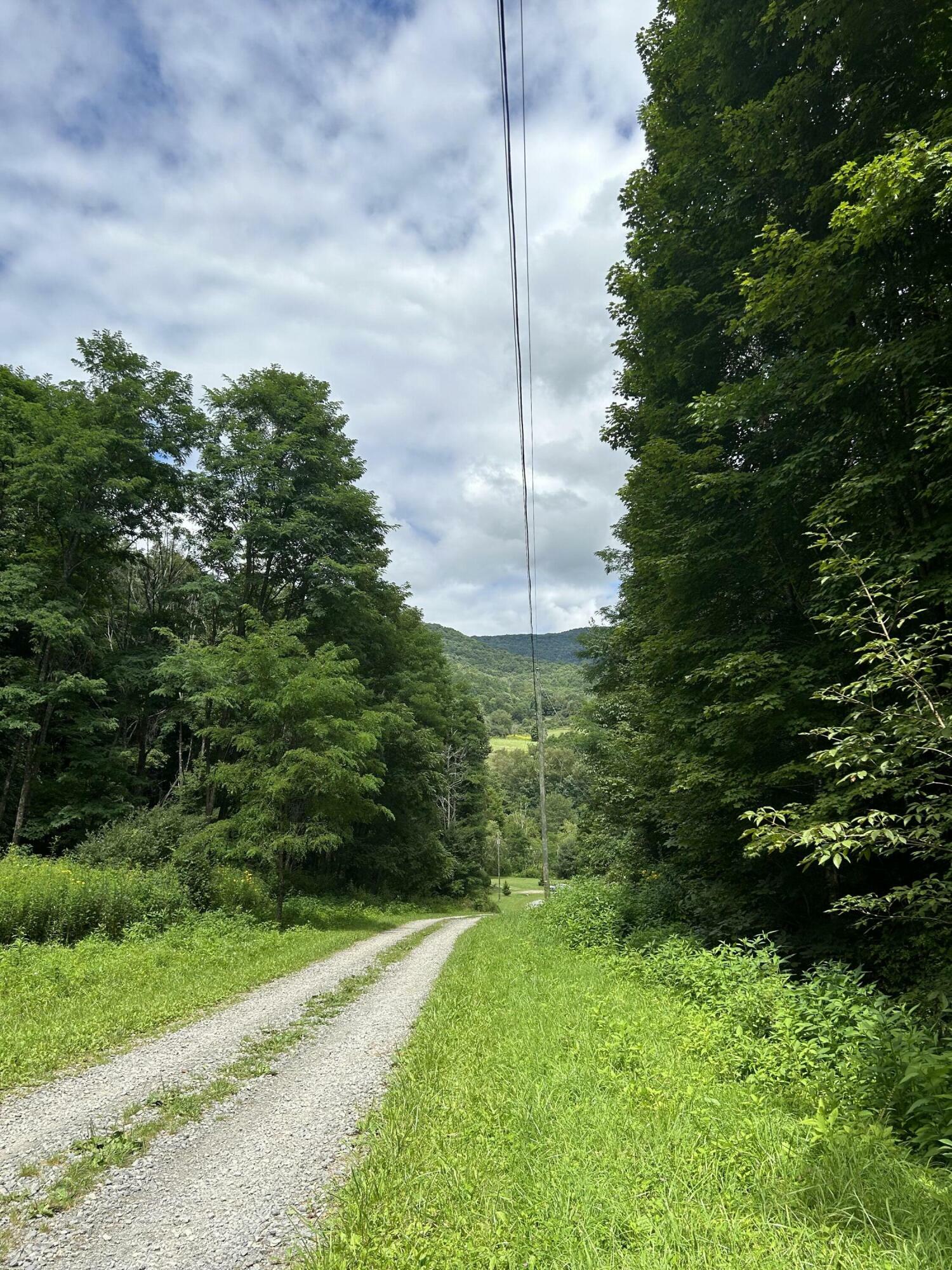 Property Photo:  Tract Two Little Mountain Dr  WV 24946 