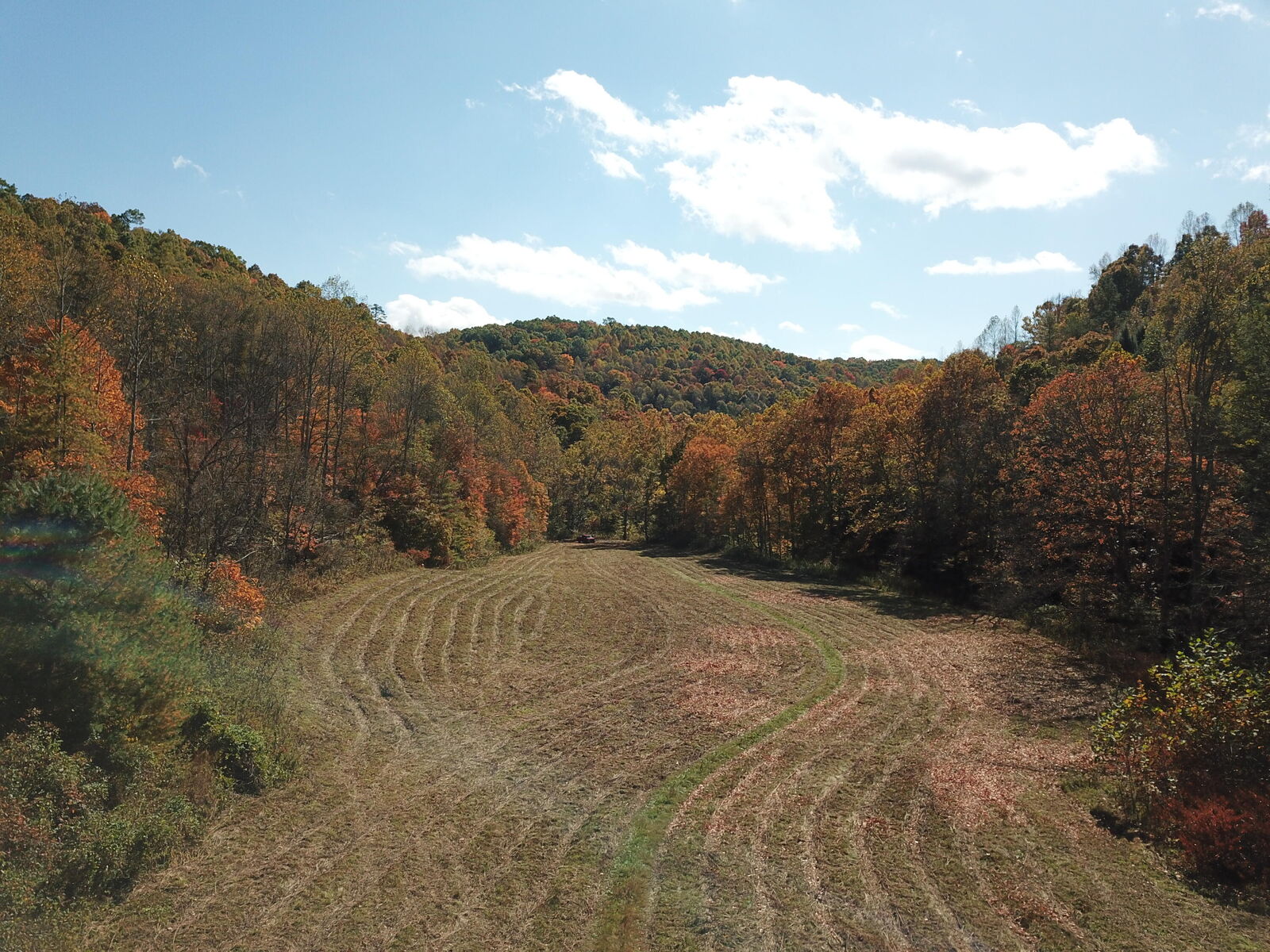 Property Photo:  0 Clover Bottom Creek Road  KY 40447 