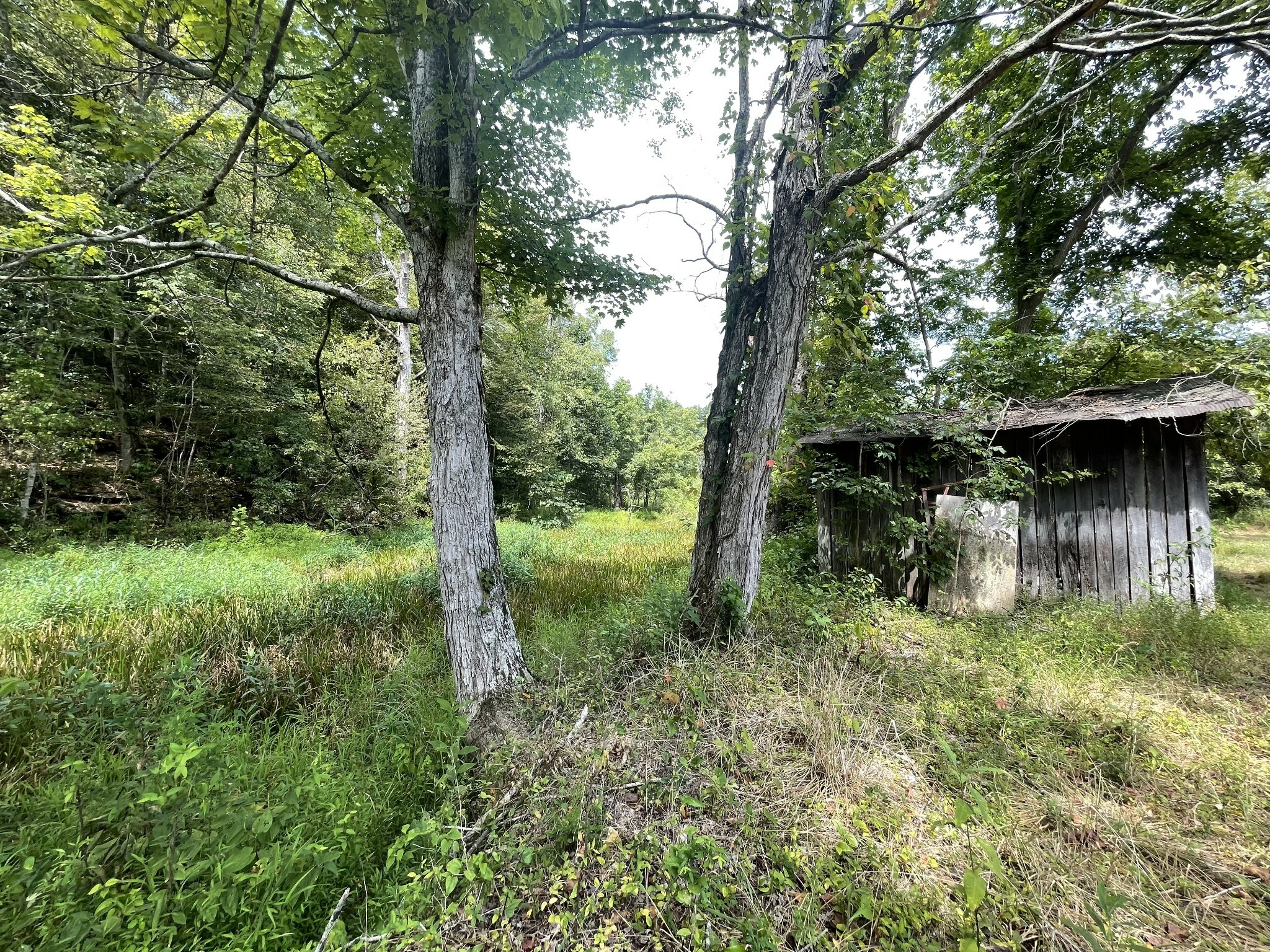 Property Photo:  3404 Highway 49  TN 37058 