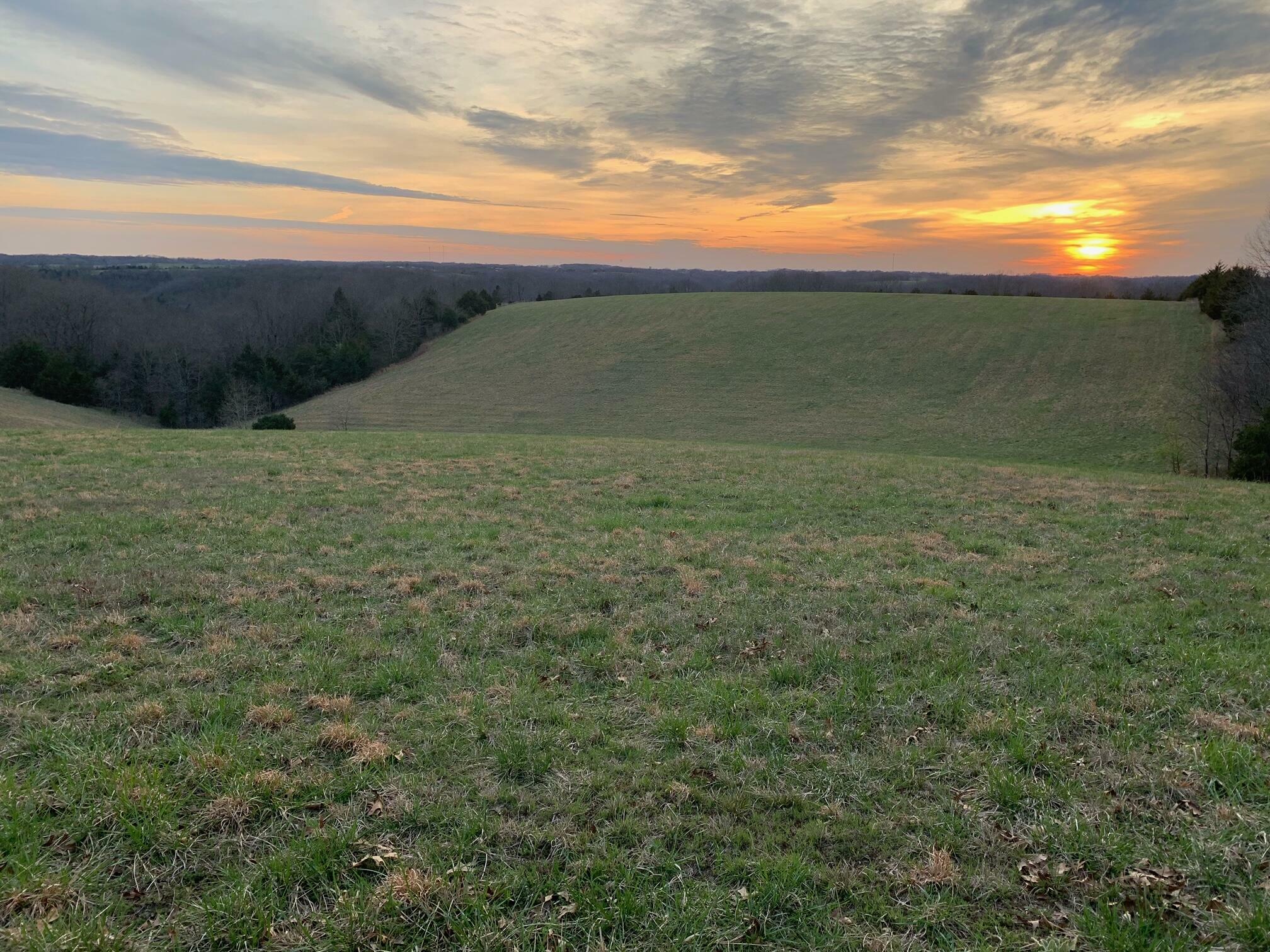 Property Photo: 000 Edison Lane MO 65737