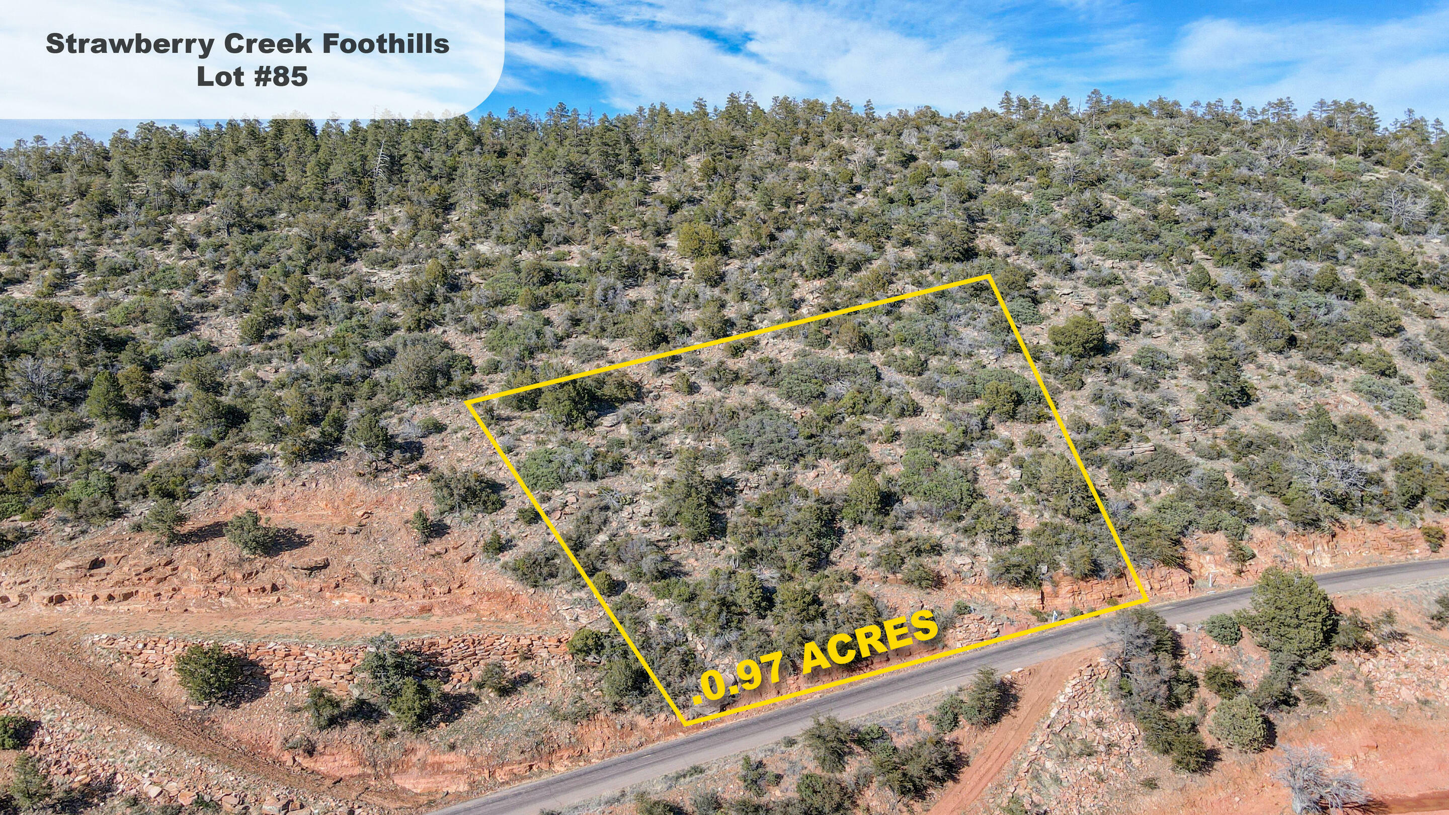 Property Photo:  Lot 85 Strawberry Creek Foothills  AZ 85544 