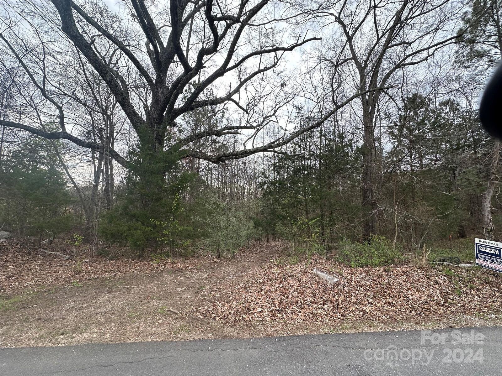 Property Photo: 00 Zion Church Road SC 29372