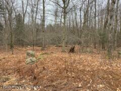 Property Photo:  Rainbow Run Lot 75  PA 18424 