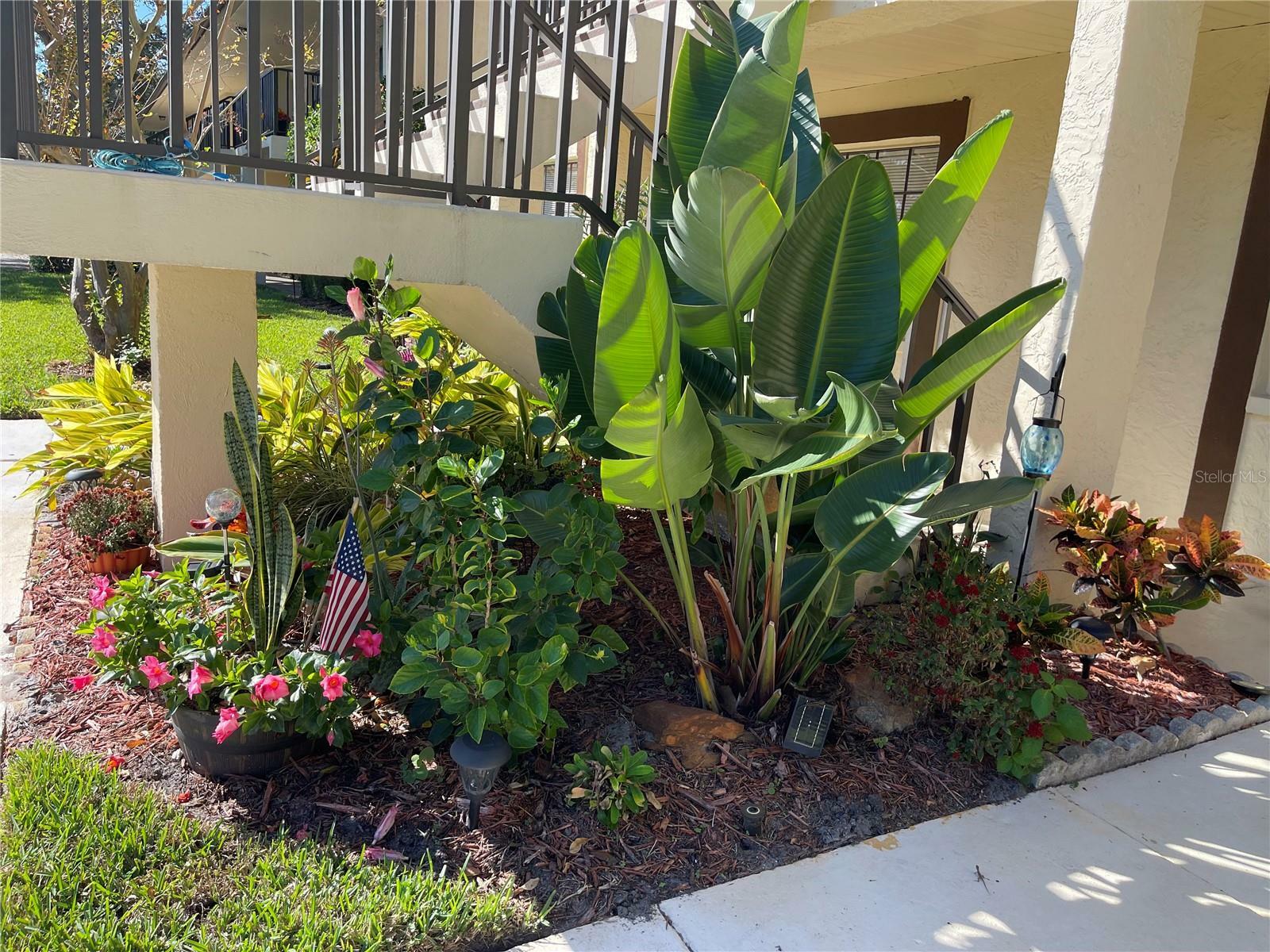 Property Photo:  2400 Winding Creek Boulevard 21A-202  FL 33761 