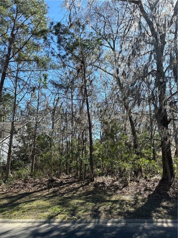 Property Photo:  237 Club Gate  SC 29910 