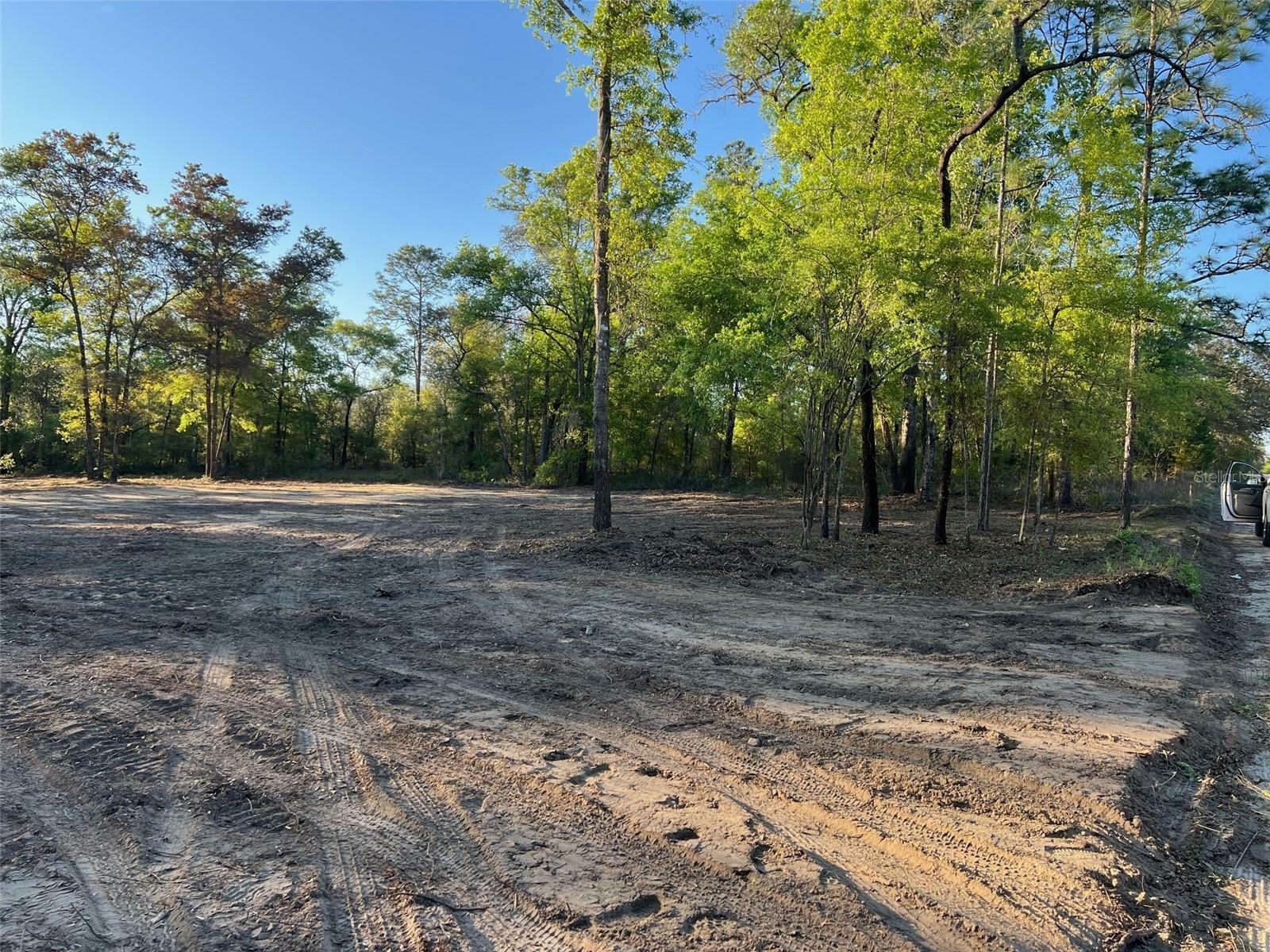 Property Photo:  Tbd NE 95th Avenue  FL 32621 