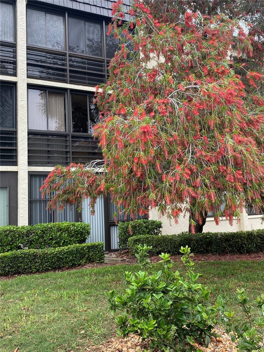 Property Photo:  11945 143rd Street N 7120  FL 33774 