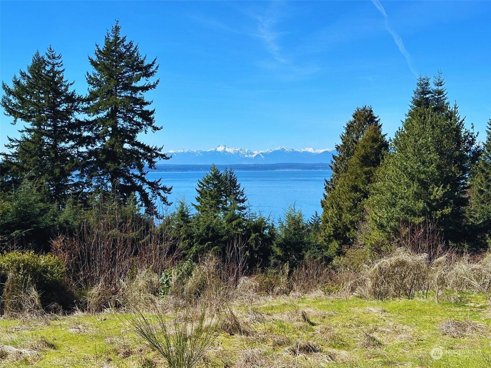 Property Photo:  860 NW Elford Drive  WA 98177 