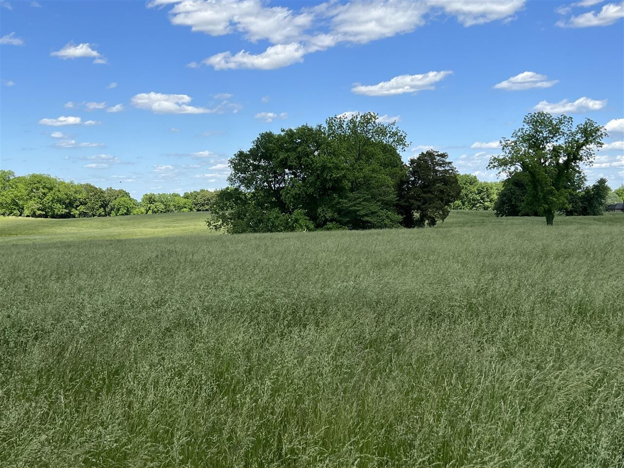 Property Photo: 0 Shaker Mill Road KY 42103