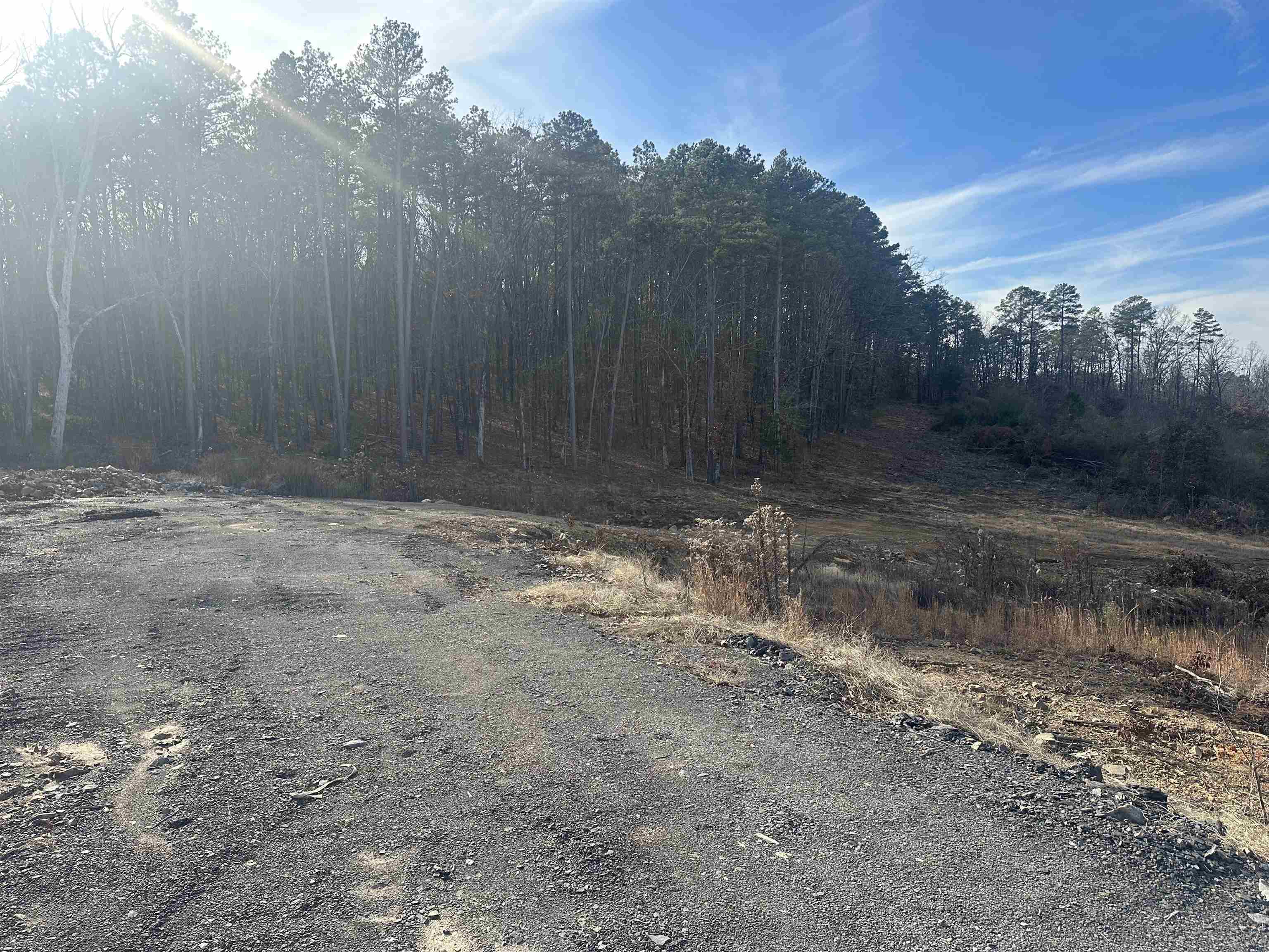 Property Photo:  00 Conley Lane  AR 72032 