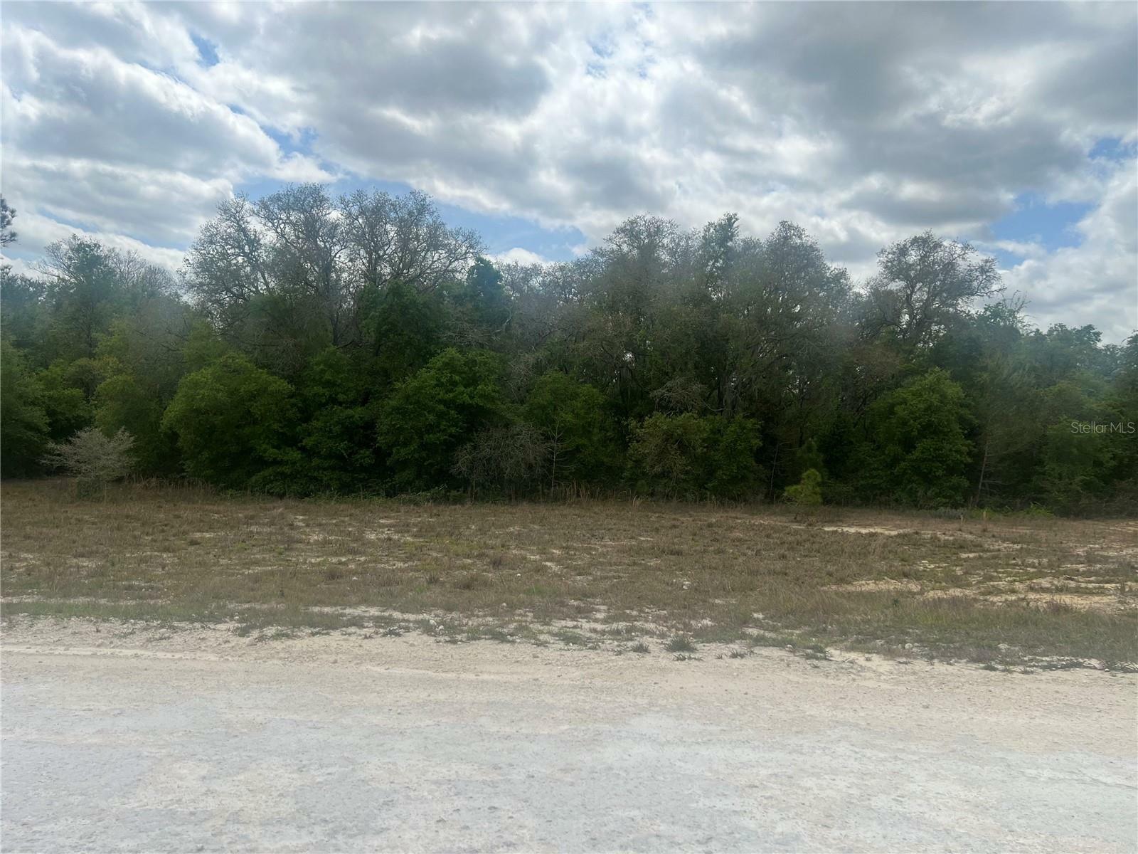 Property Photo: Cleft Rock Street FL 33597