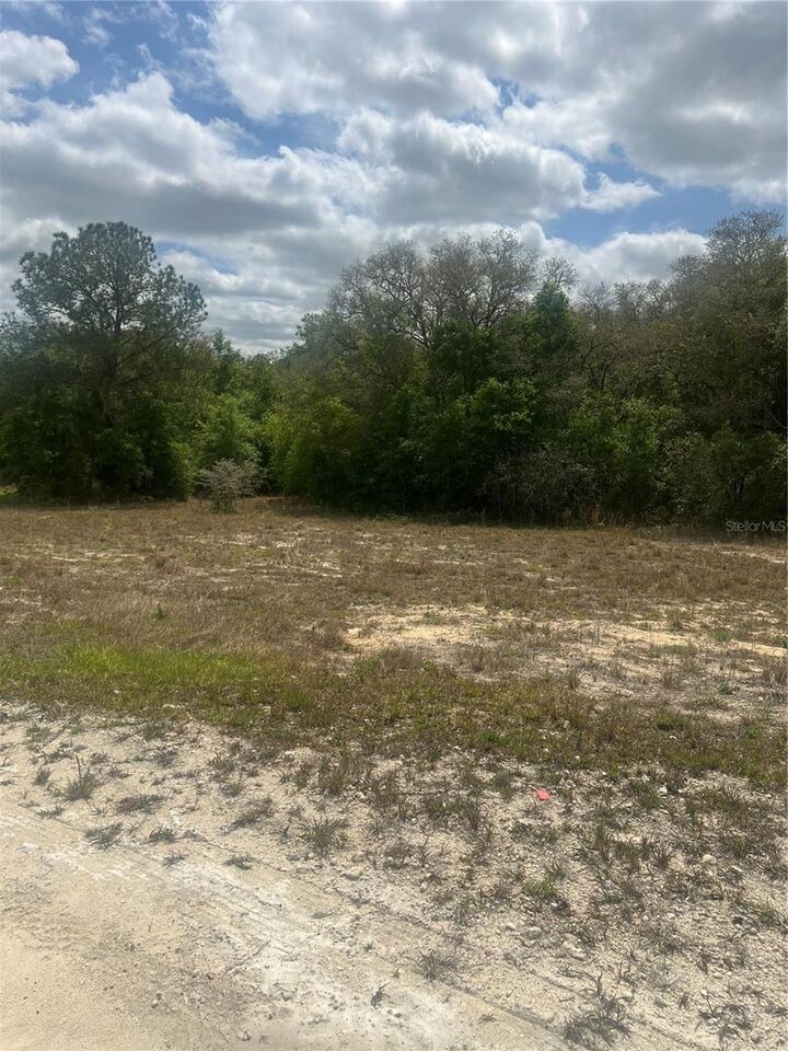 Property Photo:  Cleft Rock Street  FL 33597 