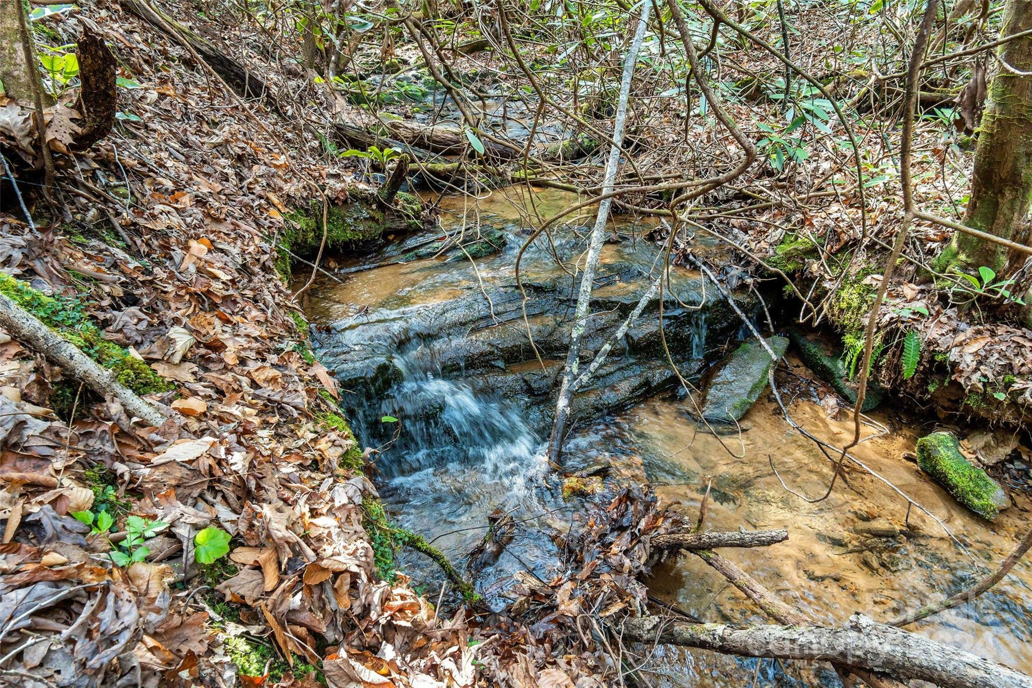 Property Photo:  Vl W Payne Road  NC 28752 