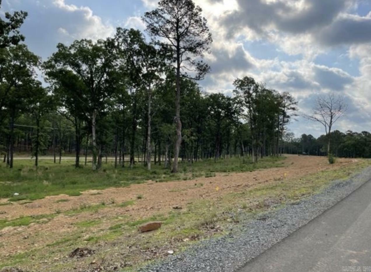 Lot 2 Orchard Hill Ph. 4  Conway AR 72034 photo