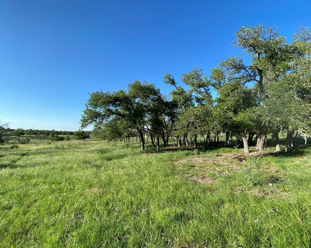 Property Photo:  Lot 43 Dancing Sun Rd  TX 78624 