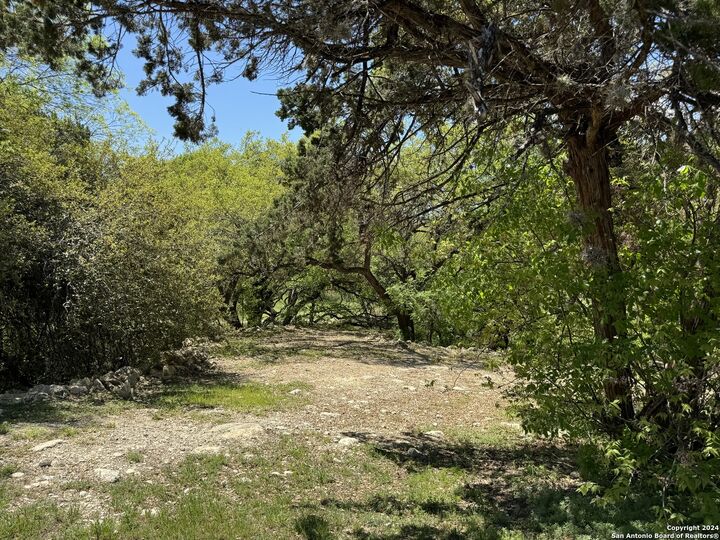 Property Photo: 56 Eton Green Cir TX 78257