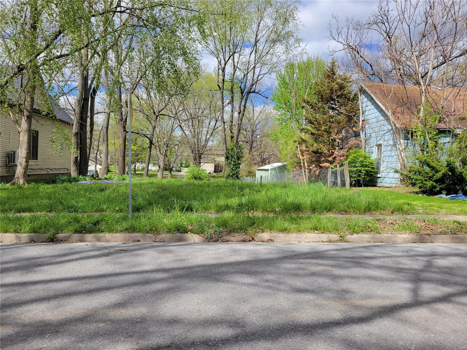 Property Photo:  529 S Ellis Street  MO 63703 