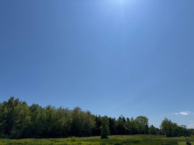Property Photo:  104 County Road  ME 04631 