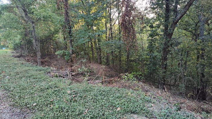 Property Photo:  25 Harbor Pointe Lane  TN 38582 