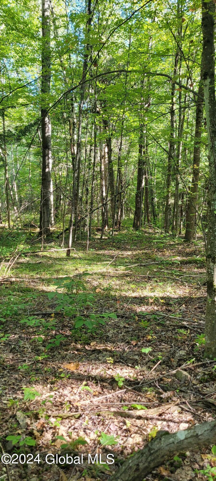 Property Photo:  L14 Blenheim Hill Road  NY 12131 