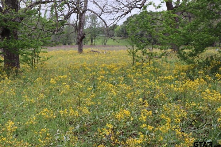 Property Photo:  Tbd Rs County Road 2365  TX 75410 