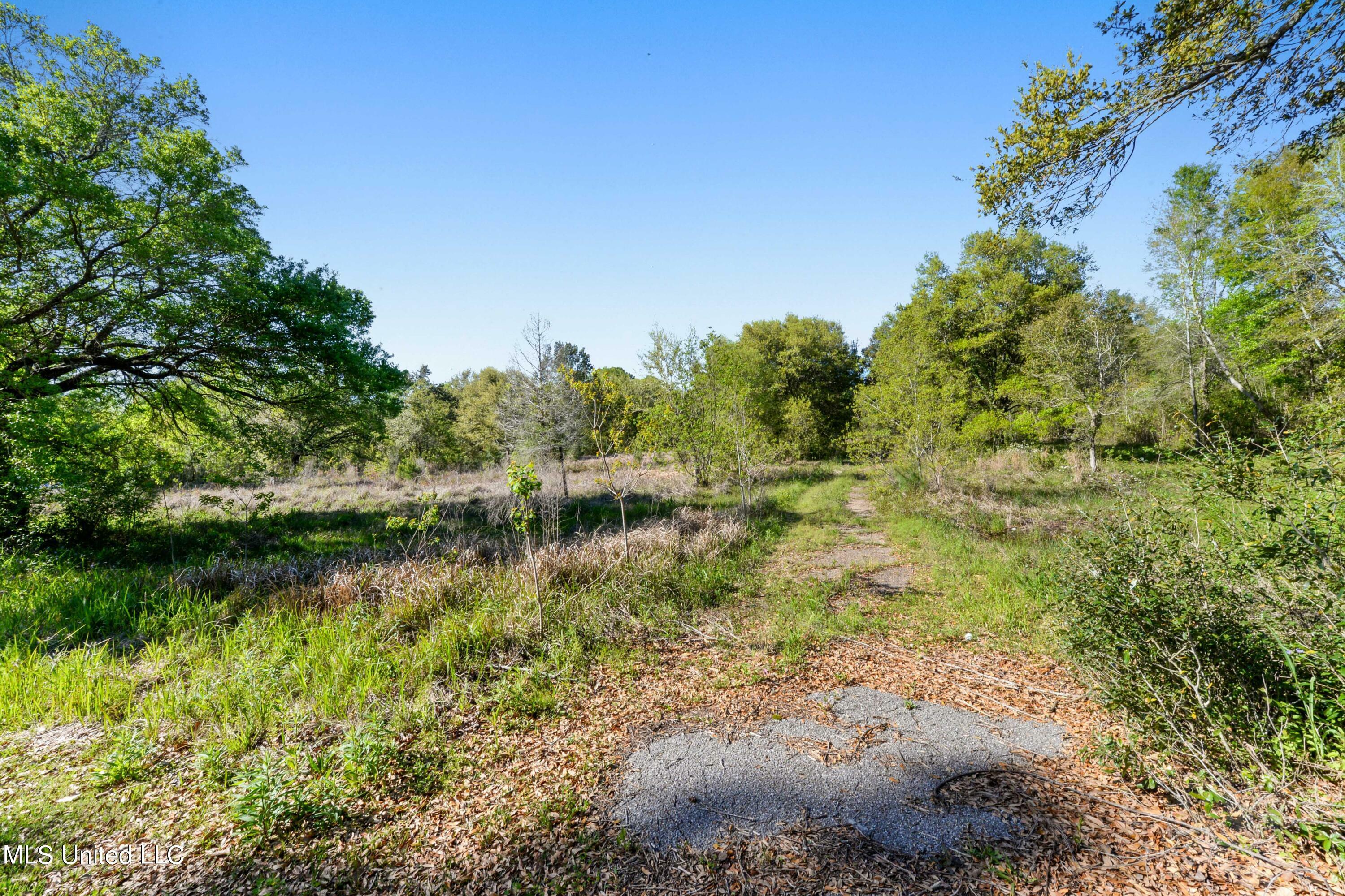 Property Photo:  4236 Brodie Road Road  MS 39540 