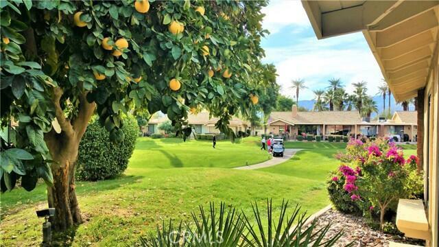 261 Calle Del Verano  Palm Desert CA 92260 photo