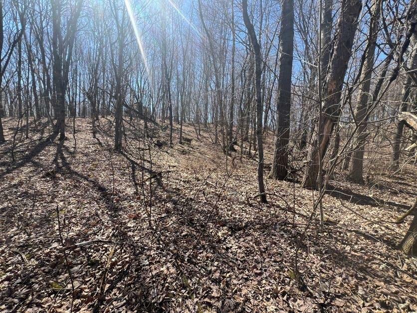 Property Photo:  Lot 3 464th Street  WI 54725 