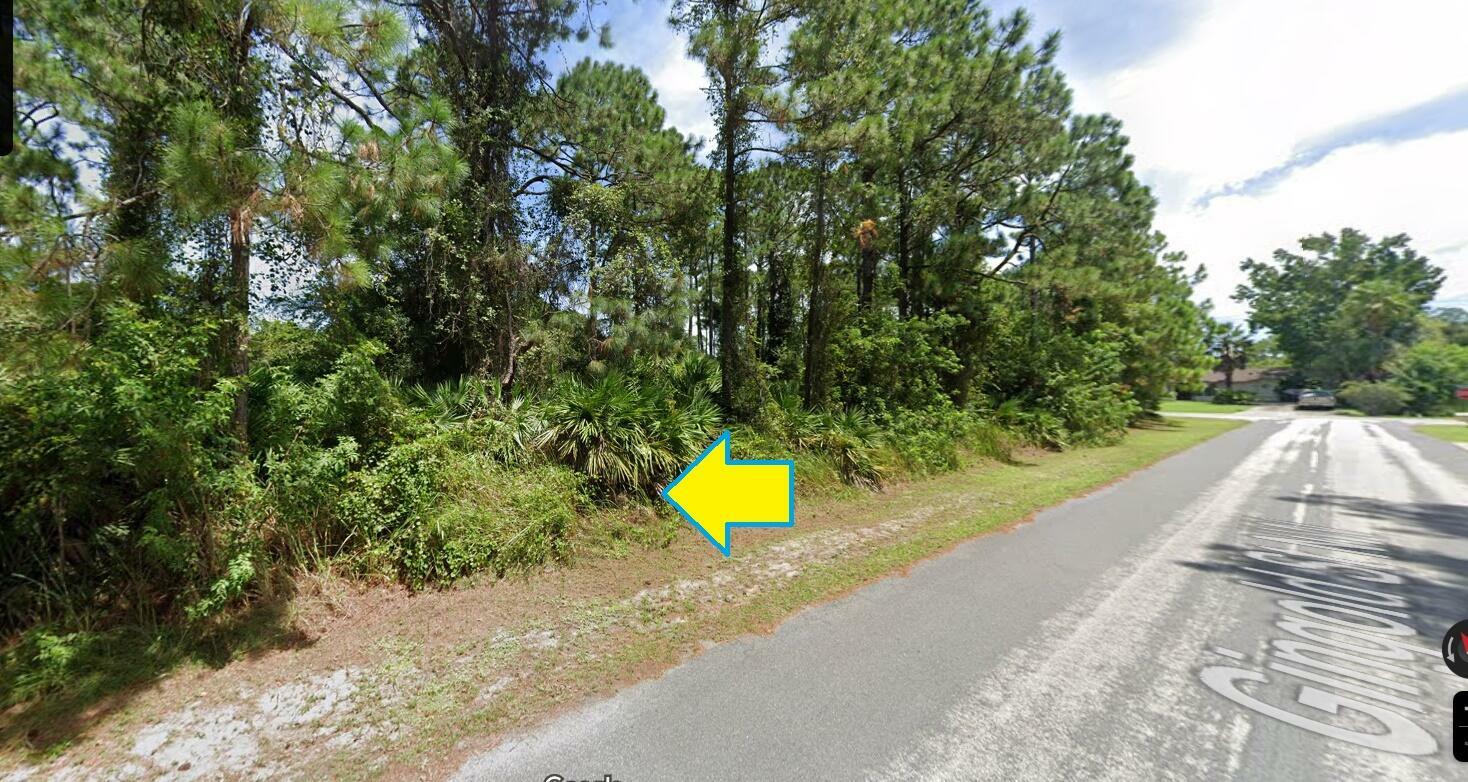 Property Photo:  1233 Gingold Street NW  FL 32907 