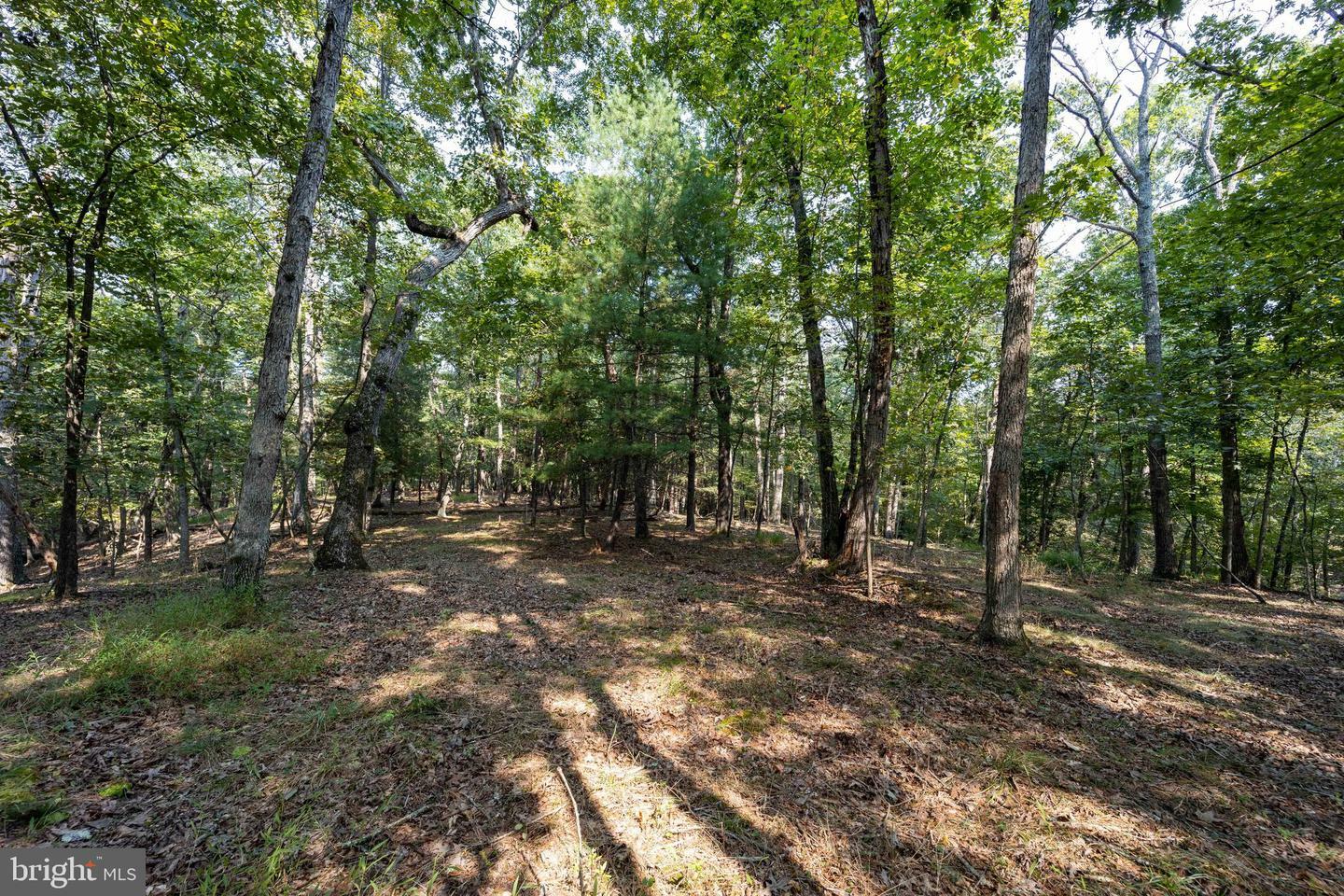 Property Photo:  Lot 12 Broomgrass Way  WV 25420 