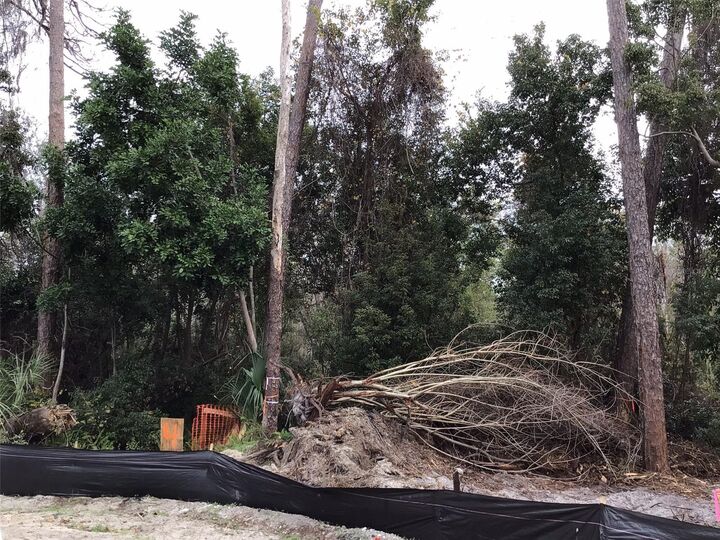 Property Photo:  1305 Almaria Court  FL 34683 