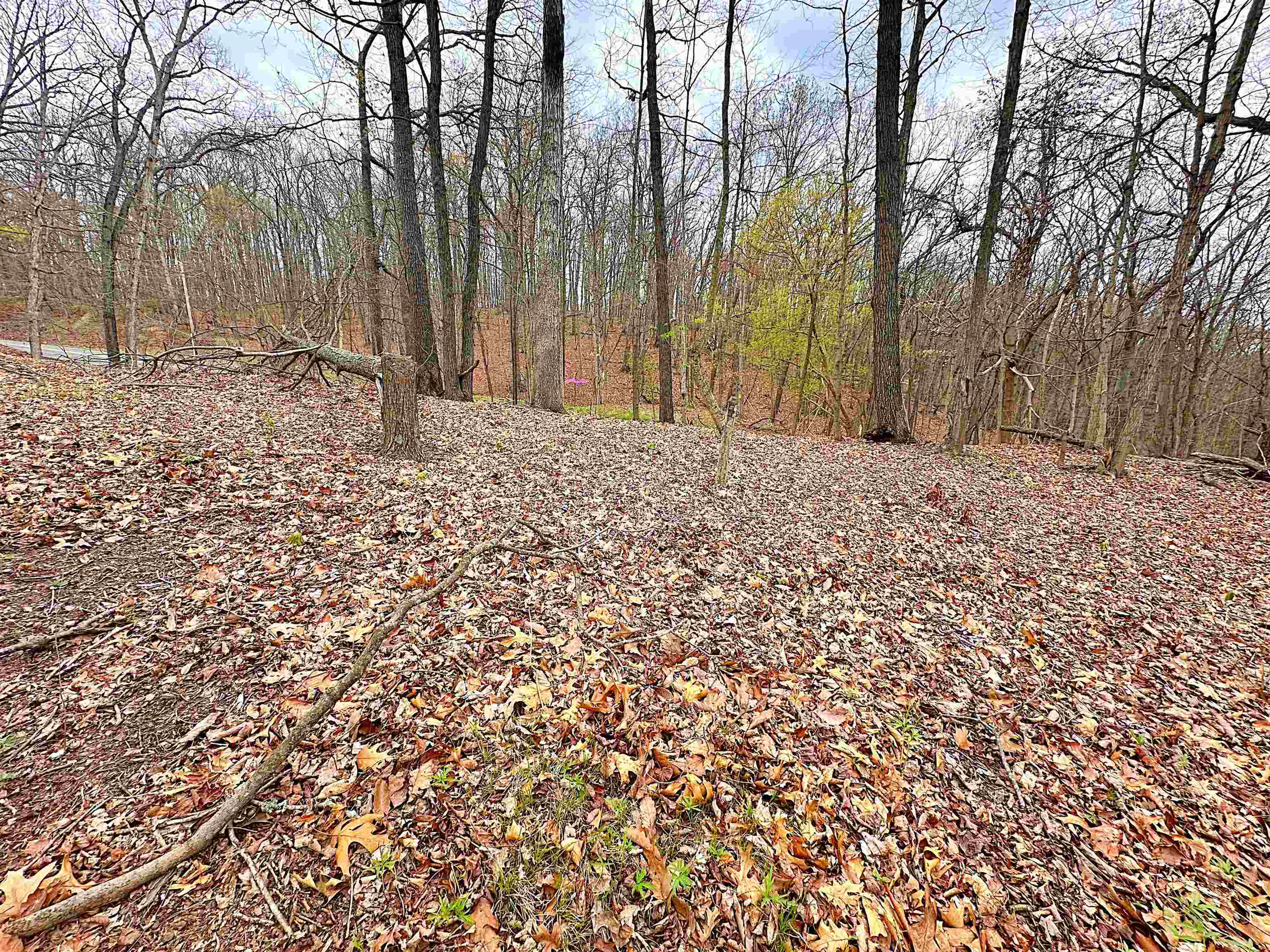 Property Photo:  Tbd Prices Fork Road  VA 24060 