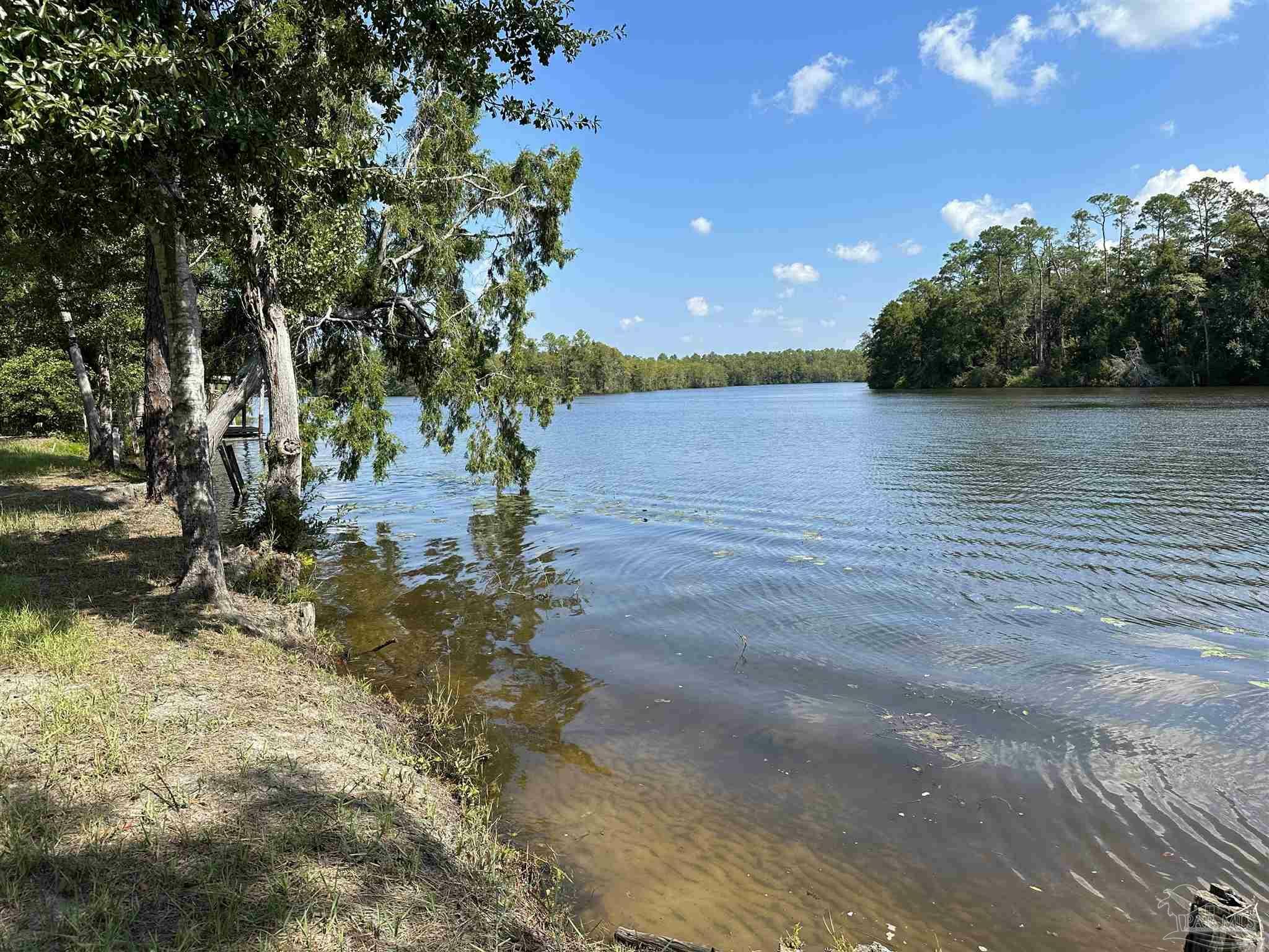 19370 River Landing Rd  Seminole AL 36574 photo