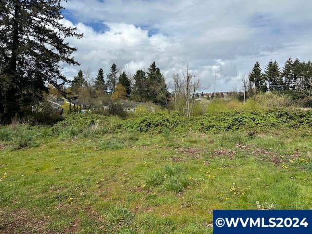 Property Photo:  Off Spicetree Ln  OR 97306 