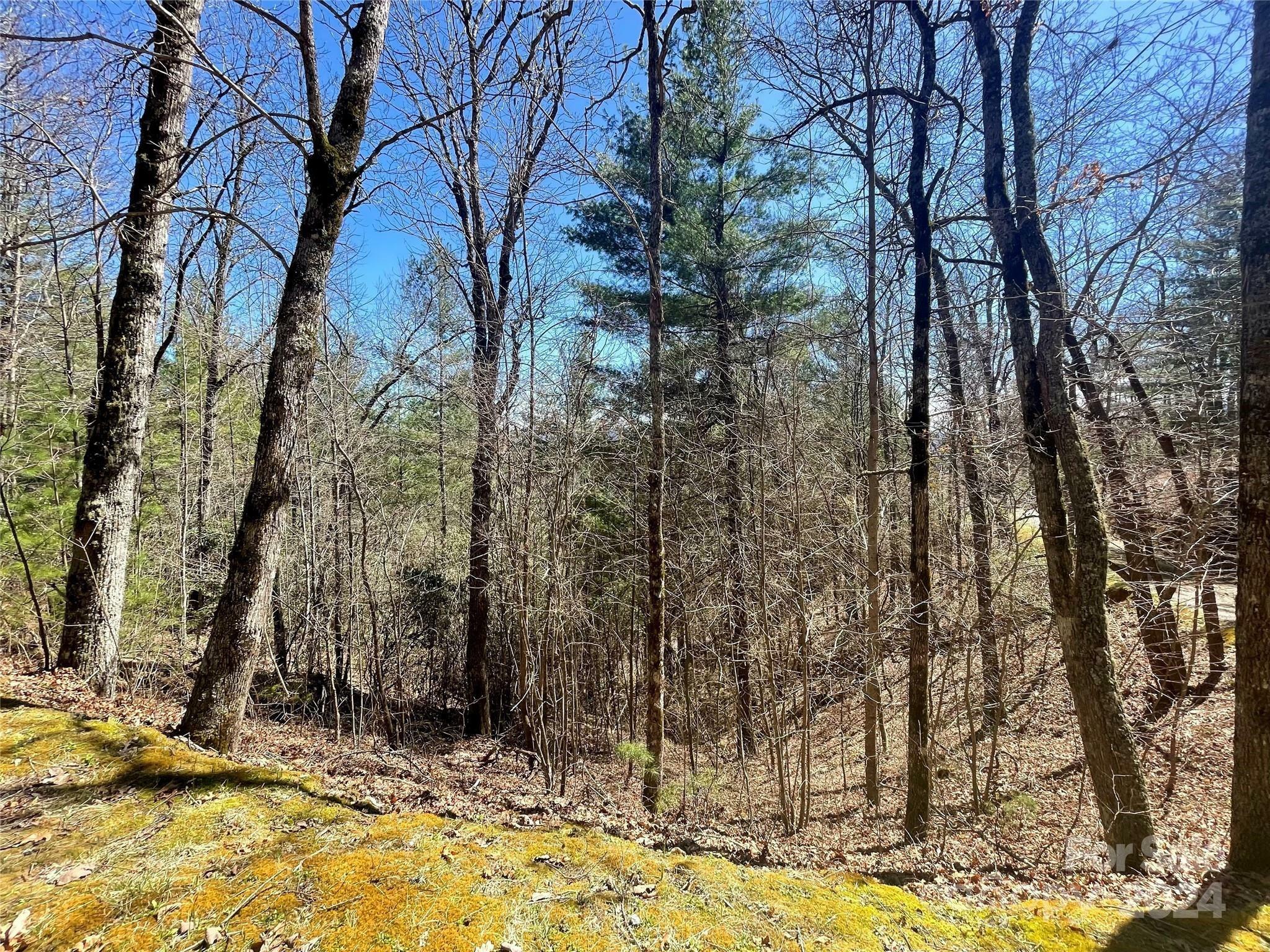 Property Photo: Lot 3 On Saturn Way 3 NC 28781