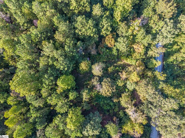 Property Photo:  000B Riverbend Road Lot #66  SC 29643 